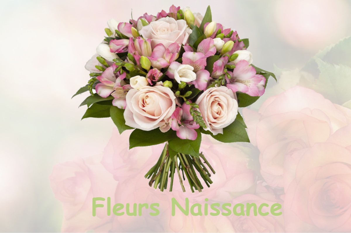 fleurs naissance SAINT-MARTIN-DE-BIENFAITE-LA-CRESSONNIERE